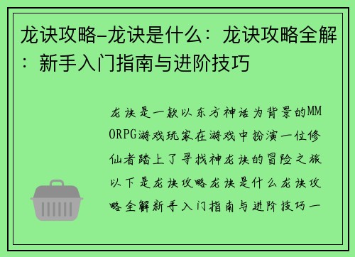 龙诀攻略-龙诀是什么：龙诀攻略全解：新手入门指南与进阶技巧